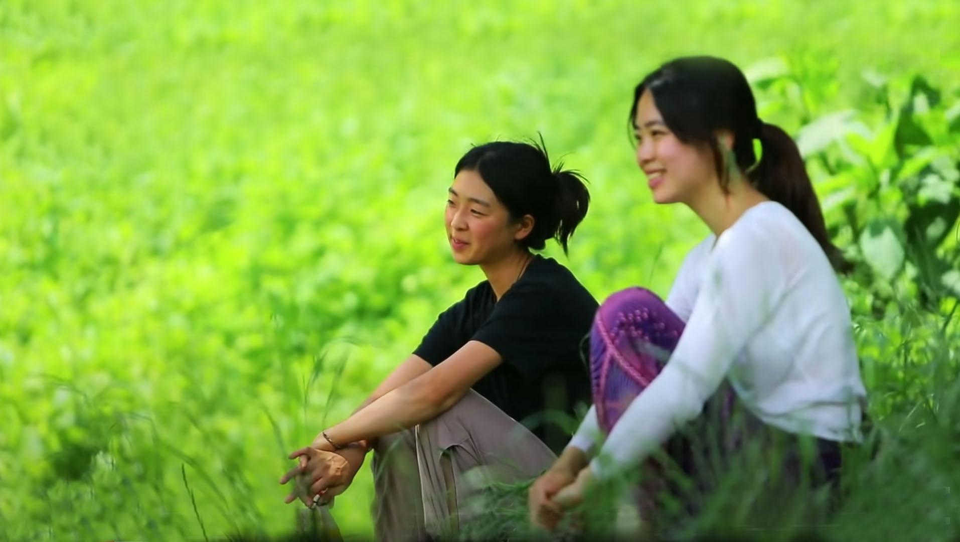 제목 없음-2.jpg